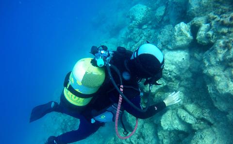 Diver inspects Roman marble quarry